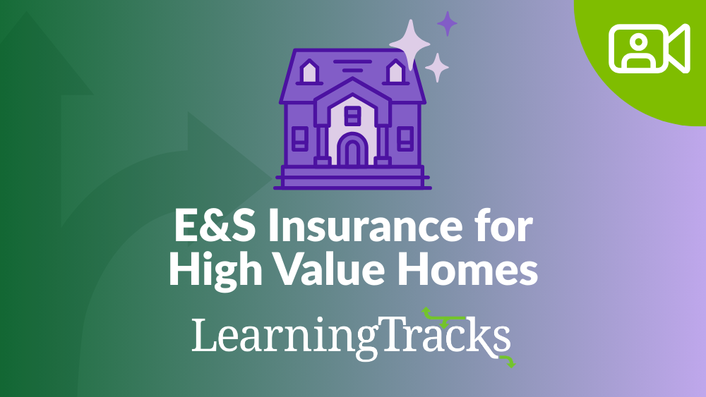 E&S Insurance for High Value Homes